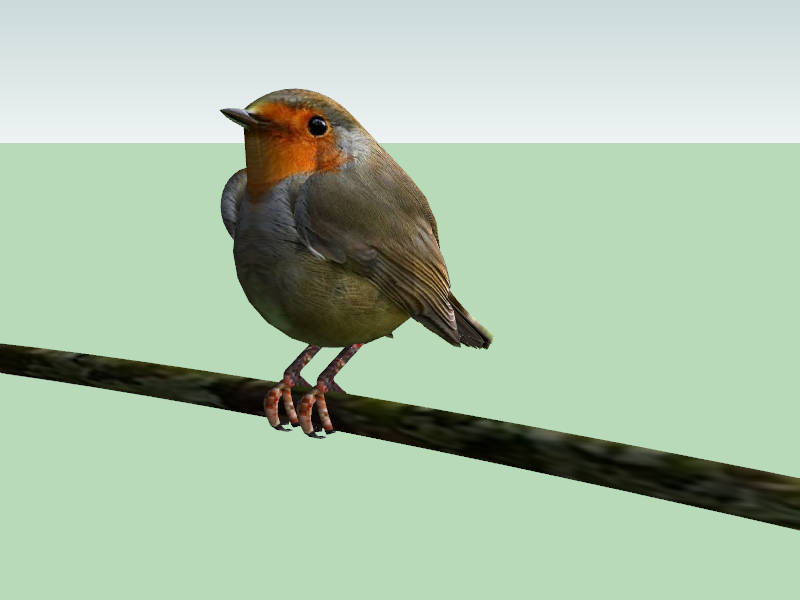 Small Bird on Branch sketchup model preview - SketchupBox