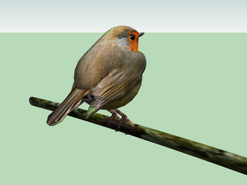 Small Bird on Branch sketchup model preview - SketchupBox