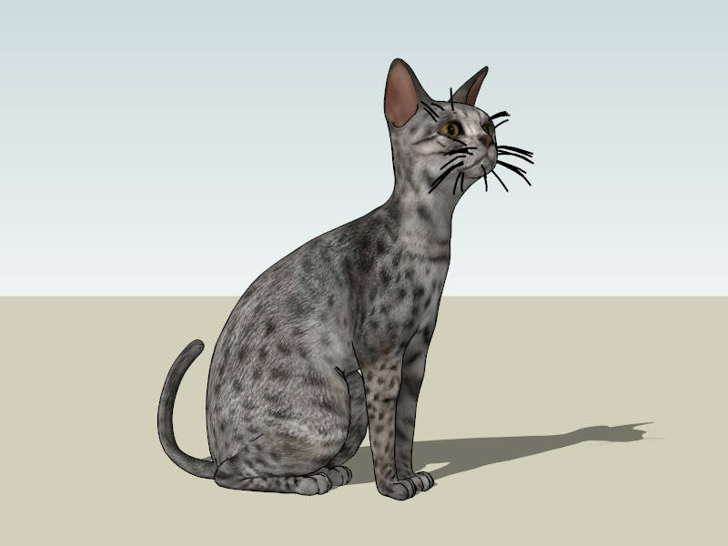 Egyptian Mau Cat sketchup model preview - SketchupBox