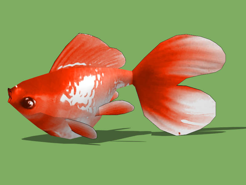 Ryukin Goldfish sketchup model preview - SketchupBox