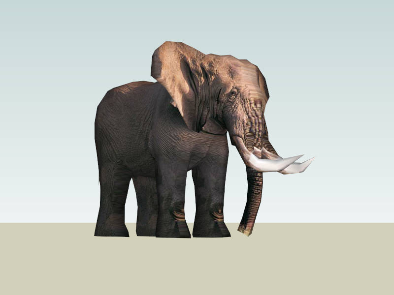 African Elephant sketchup model preview - SketchupBox