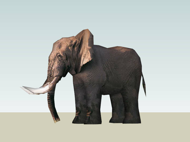 African Elephant sketchup model preview - SketchupBox