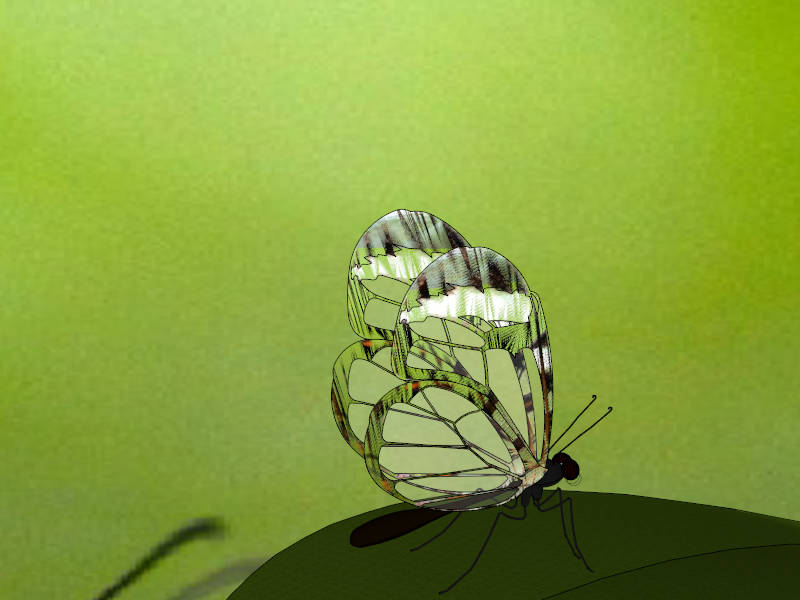Orchard Butterfly sketchup model preview - SketchupBox