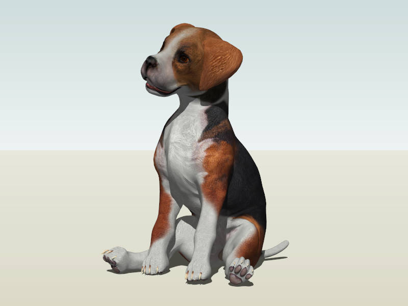Hokkaido Dog Sitting sketchup model preview - SketchupBox