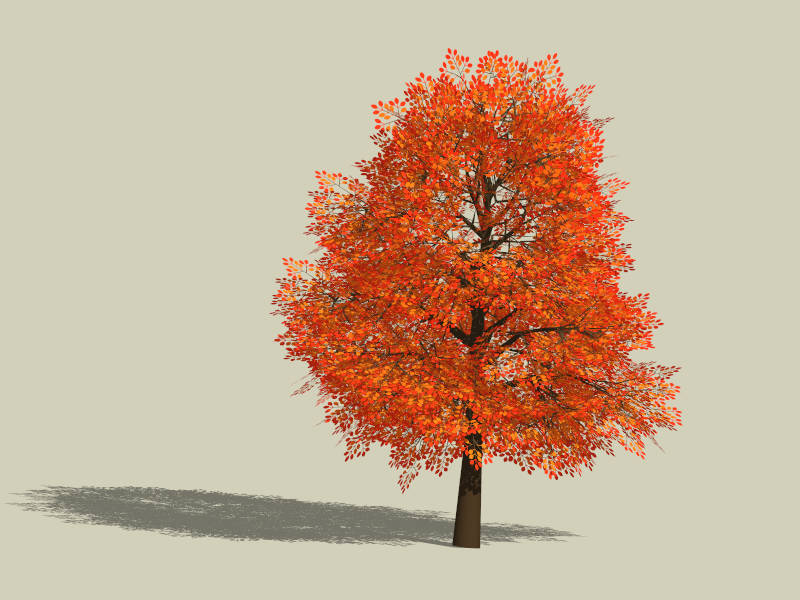Red Leaf Tree in Fall sketchup model preview - SketchupBox