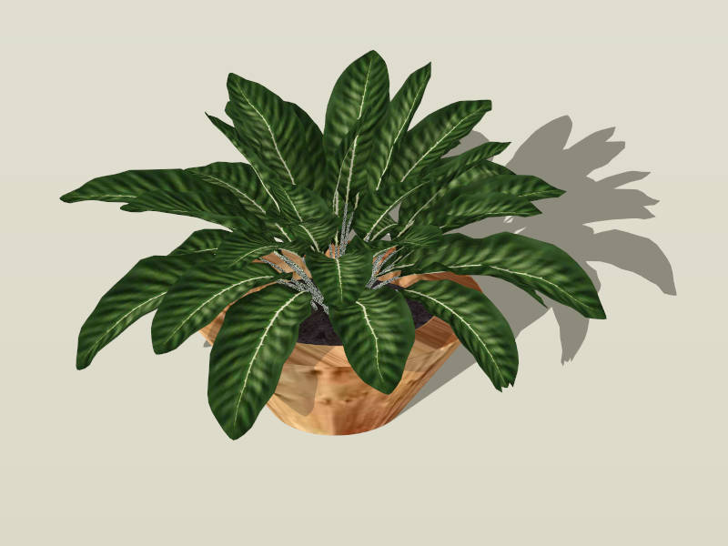 Green Potted Plant sketchup model preview - SketchupBox