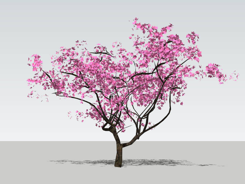 Flowering Peach Tree sketchup model preview - SketchupBox