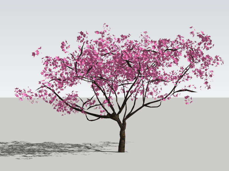 Flowering Peach Tree sketchup model preview - SketchupBox