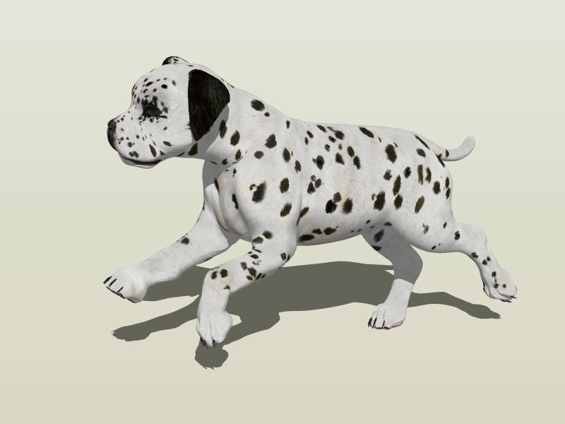 Running Dalmatian Dog sketchup model preview - SketchupBox