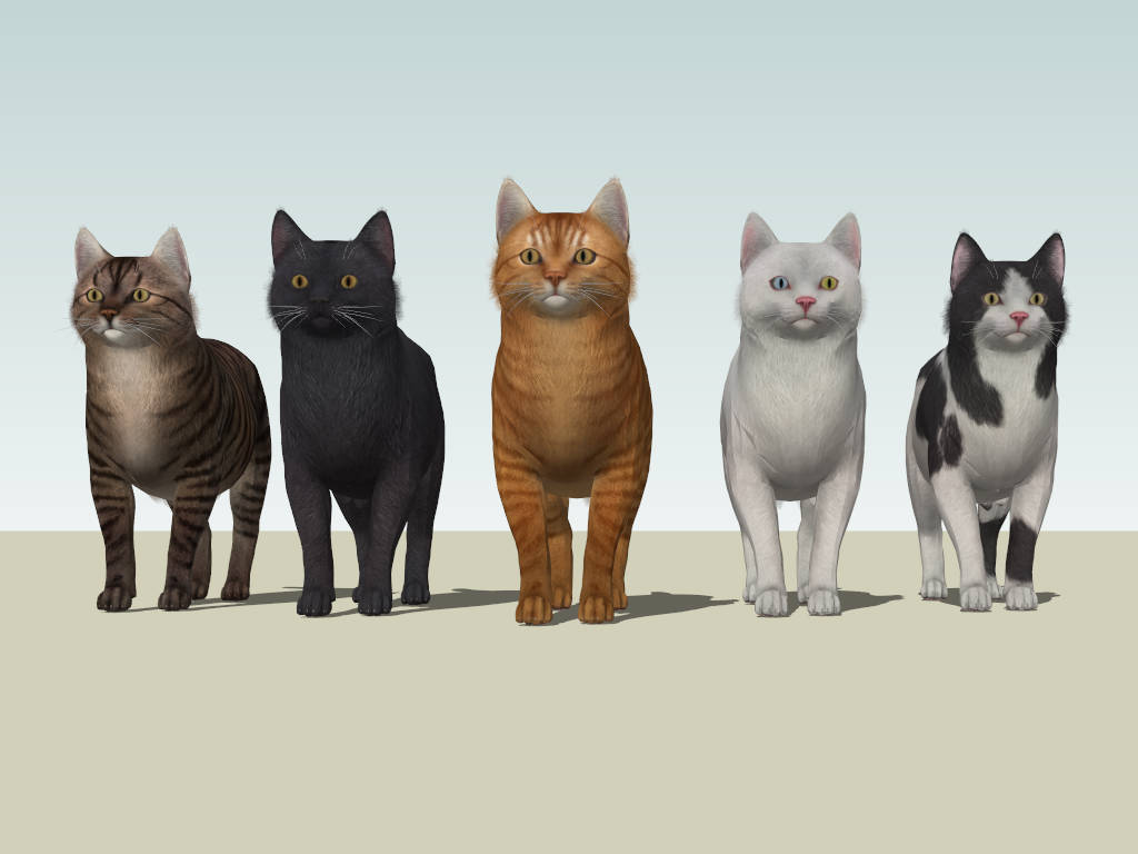5 Types Of Cats sketchup model preview - SketchupBox