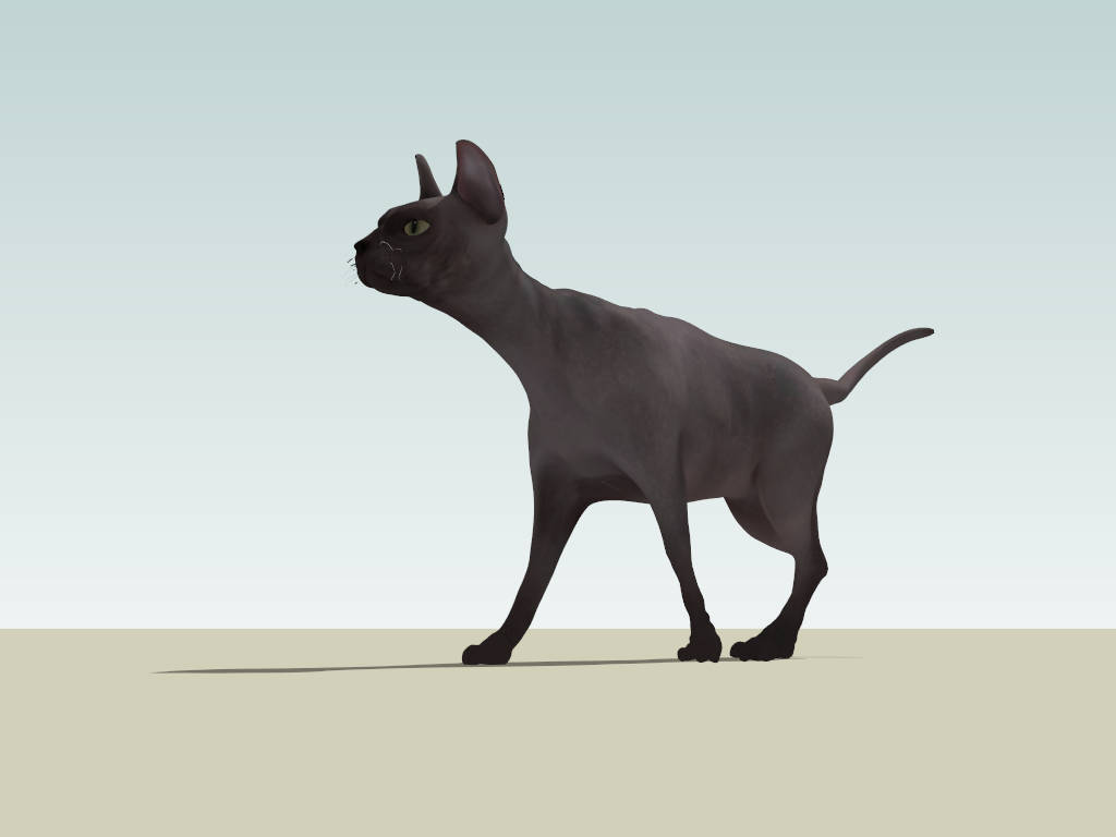 Black Sphynx Cat sketchup model preview - SketchupBox