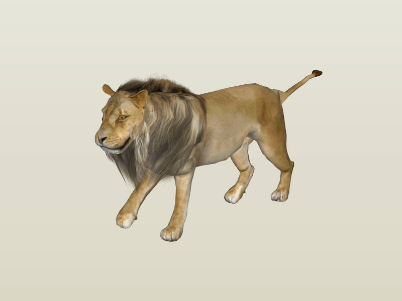 Male Lion sketchup model preview - SketchupBox