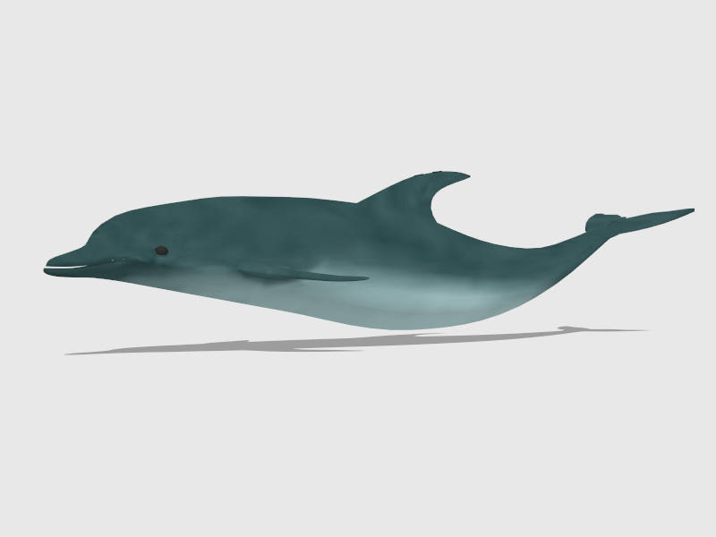 Blue Dolphin sketchup model preview - SketchupBox