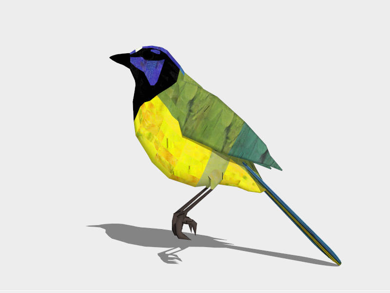 Orange-bellied Leafbird sketchup model preview - SketchupBox