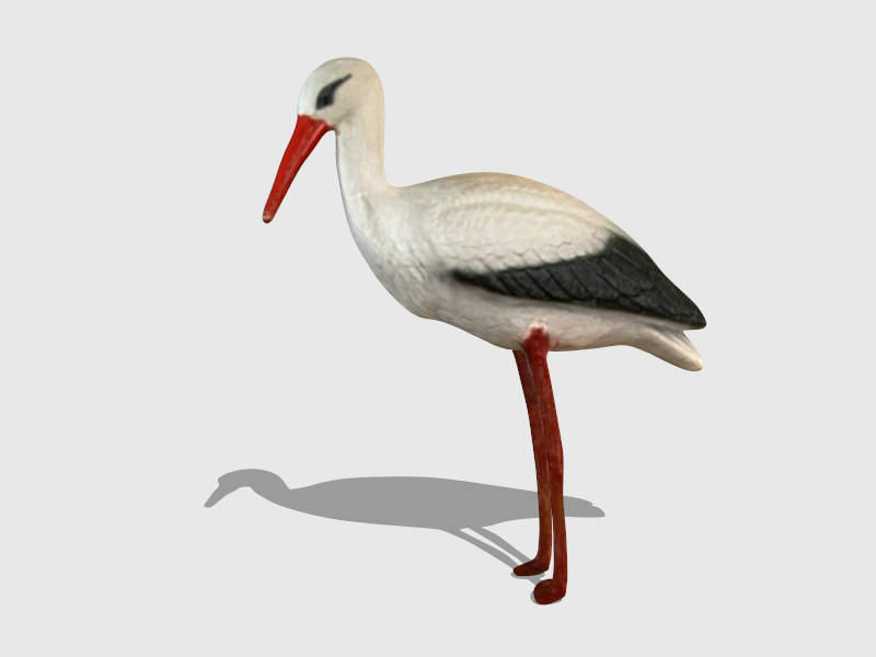 Swan Bird sketchup model preview - SketchupBox