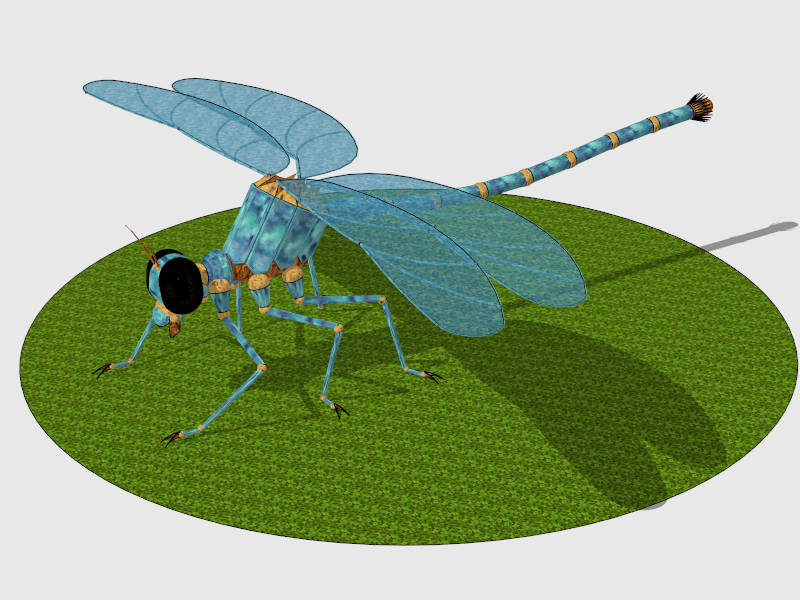 Light Blue Dragonfly sketchup model preview - SketchupBox