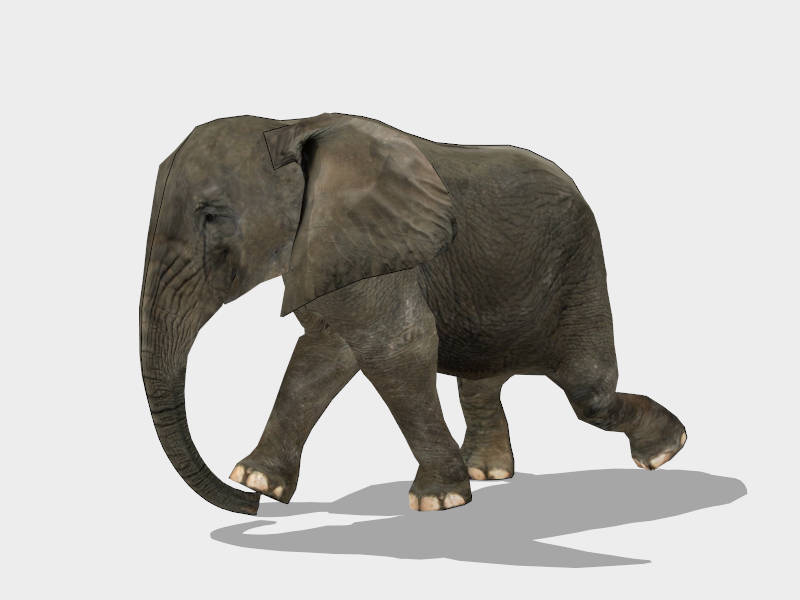 Elephant Running sketchup model preview - SketchupBox