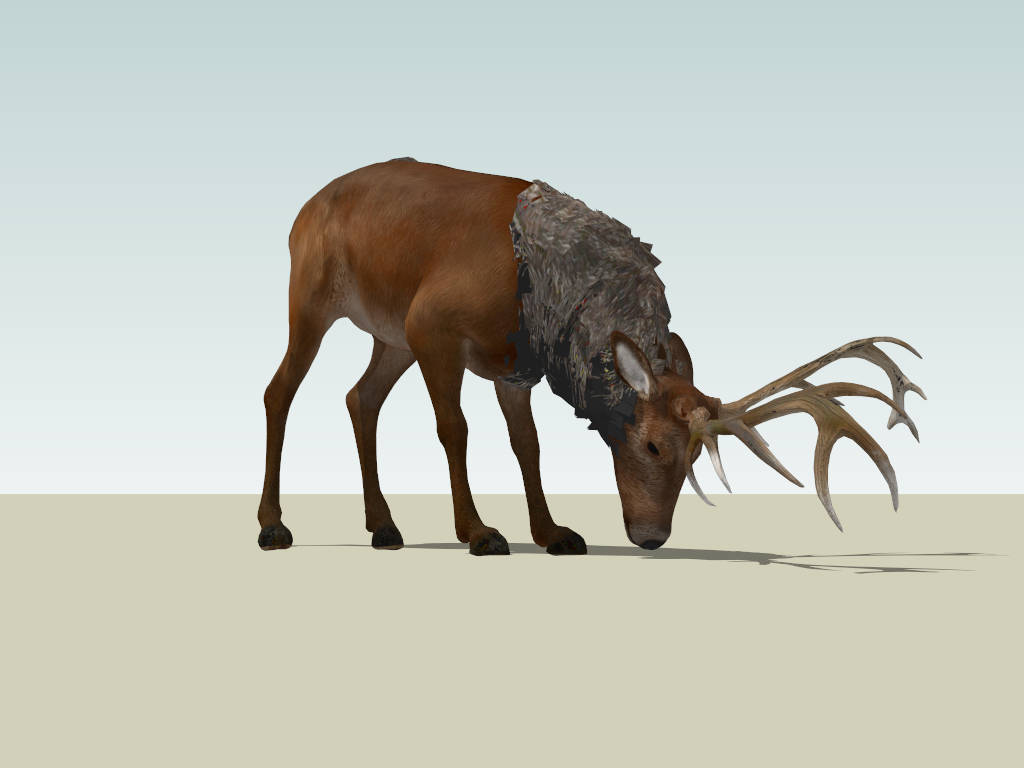 Big Bull Elk sketchup model preview - SketchupBox