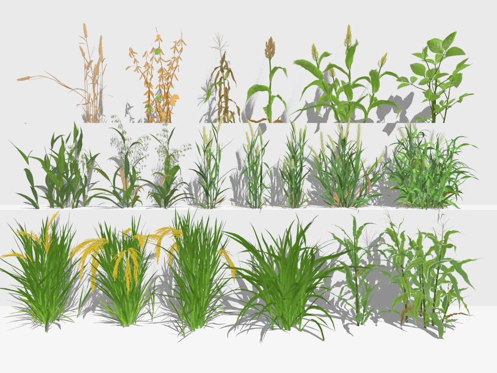 16 Crop Plants Collection sketchup model preview - SketchupBox