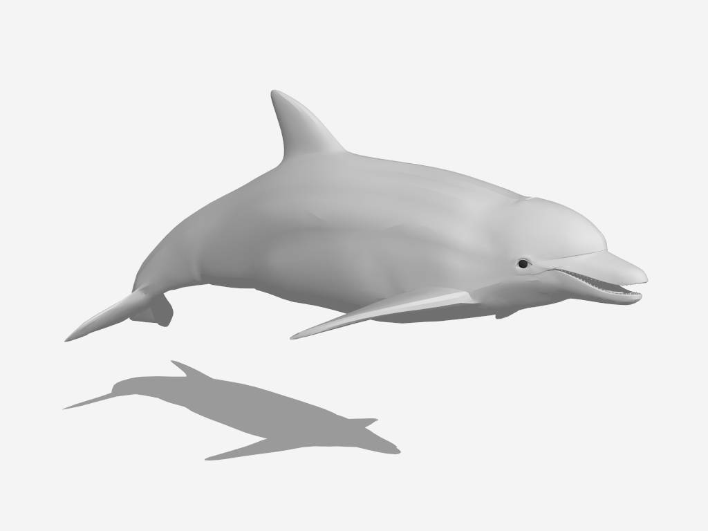 Bottlenose Dolphin sketchup model preview - SketchupBox