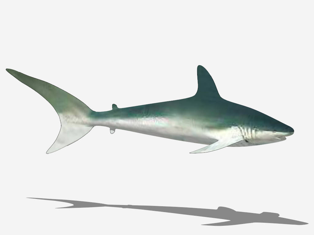 Blue Shark sketchup model preview - SketchupBox