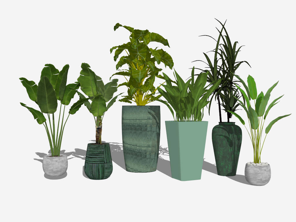 Large Indoor Potted Plants sketchup model preview - SketchupBox