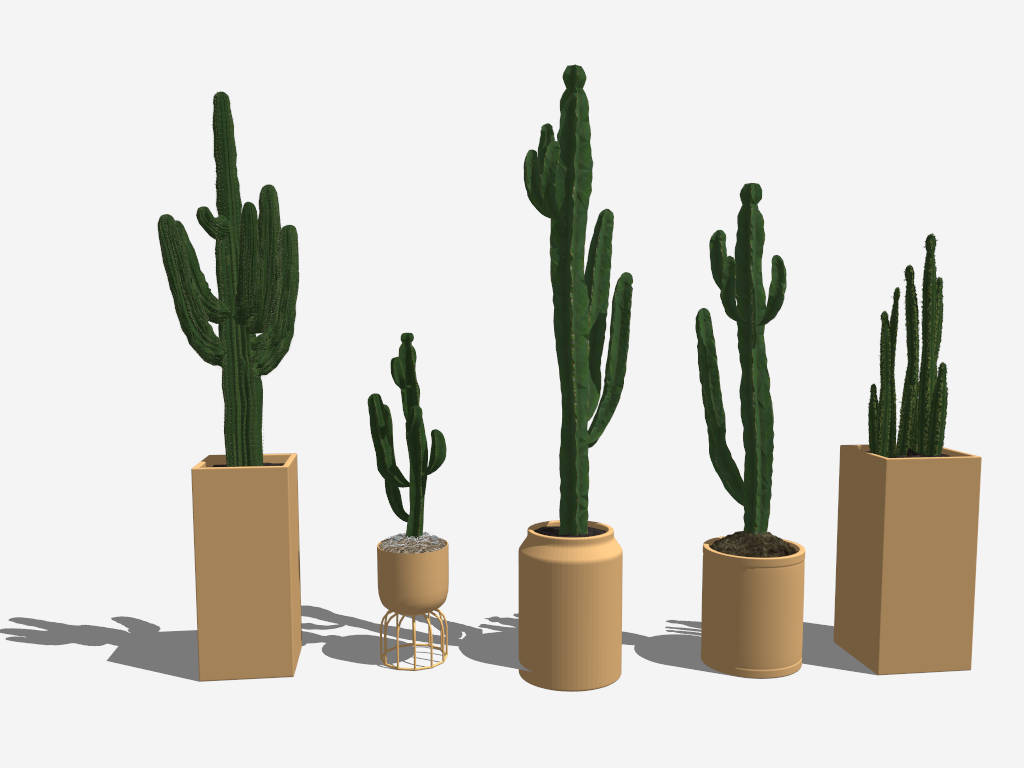 Tall Indoor Cactus sketchup model preview - SketchupBox