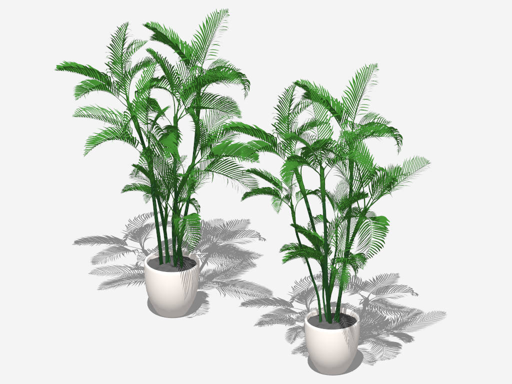 Areca Palm Potted Plant sketchup model preview - SketchupBox