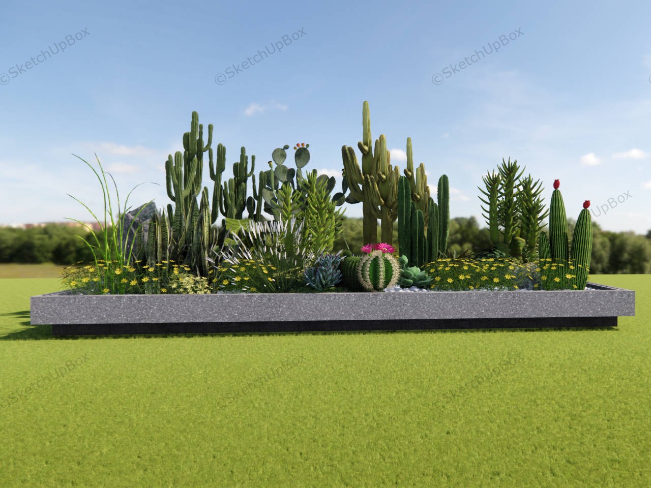 Cactus Garden Ideas Landscape sketchup model preview - SketchupBox