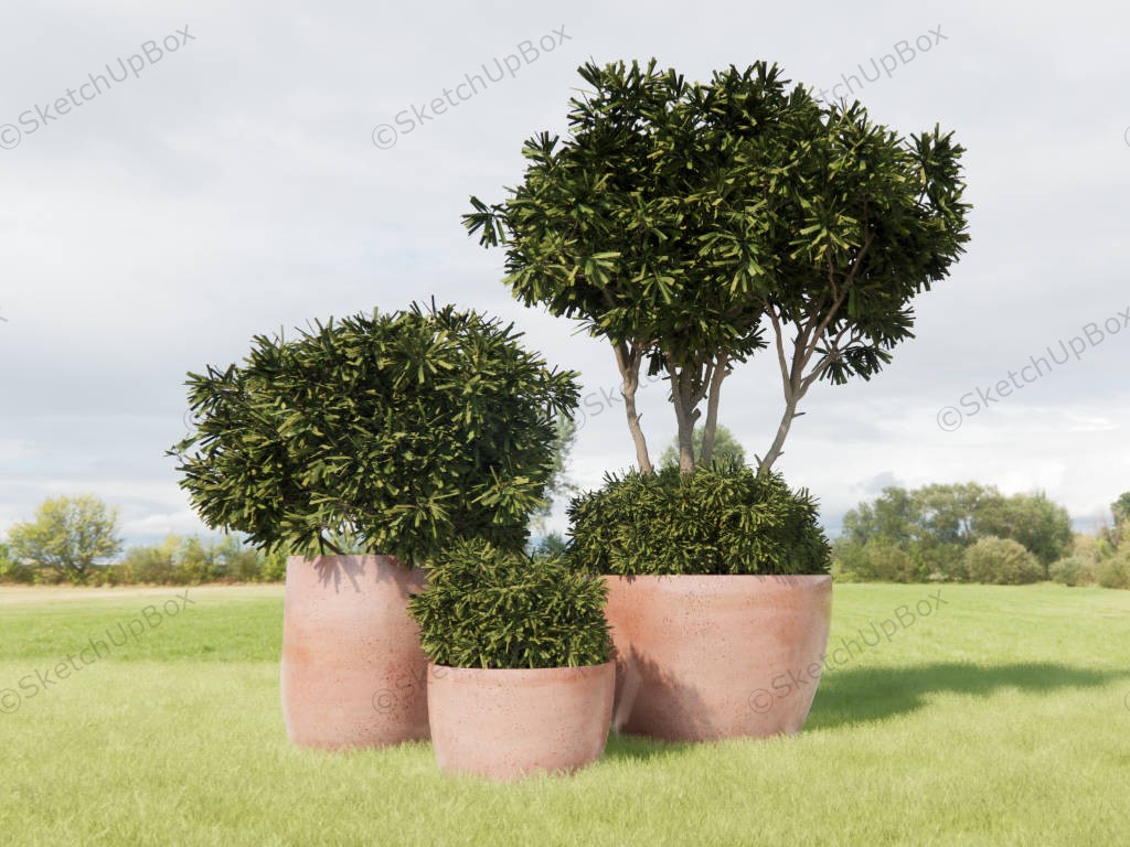 Large Terracotta Plant Pots sketchup model preview - SketchupBox