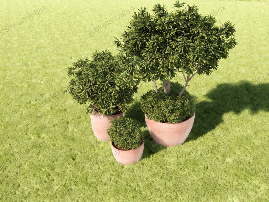 Large Terracotta Plant Pots sketchup model preview - SketchupBox