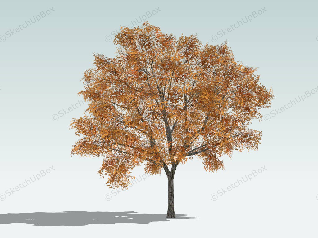 Purple Ash Tree sketchup model preview - SketchupBox