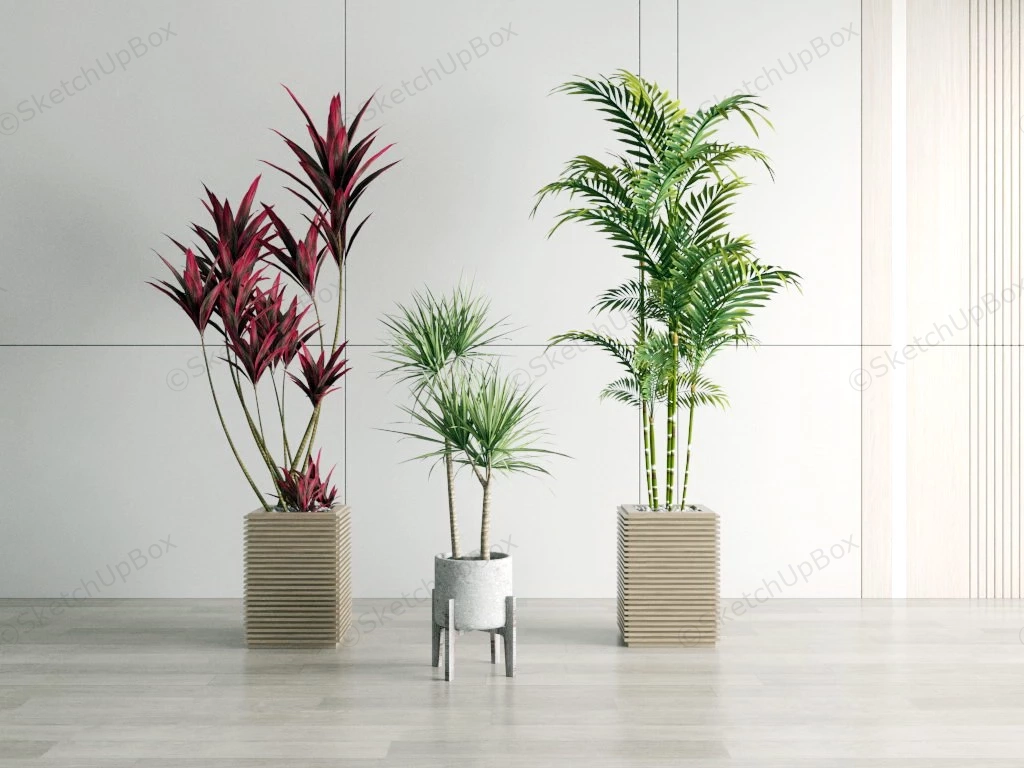 Potted Cordyline Dracaena Bamboo Palm sketchup model preview - SketchupBox