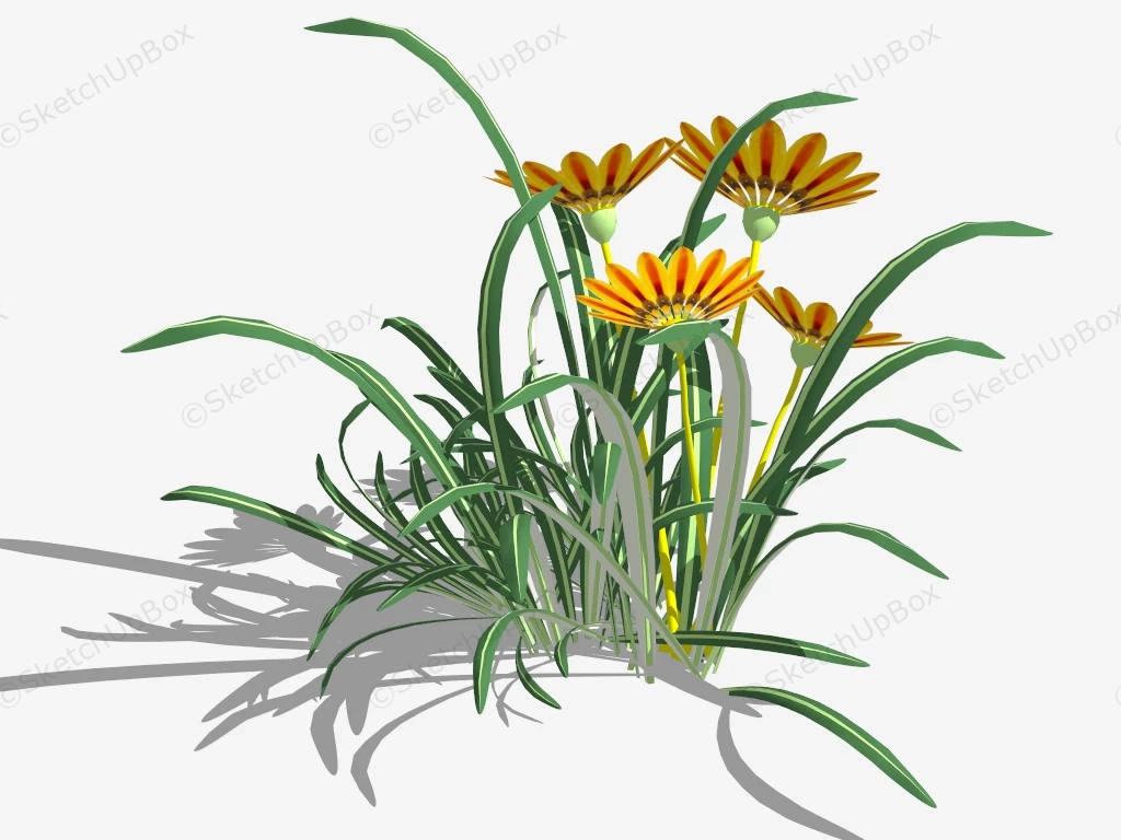 Orange Gazania Flower sketchup model preview - SketchupBox