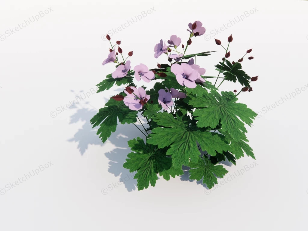 Pink Hibiscus Flower sketchup model preview - SketchupBox