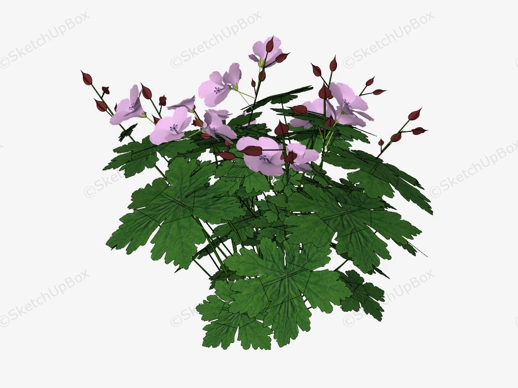 Pink Hibiscus Flower sketchup model preview - SketchupBox