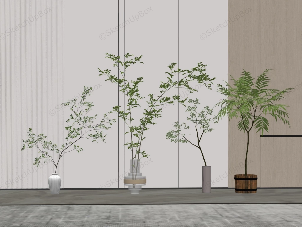 Indoor Ornamental Plants sketchup model preview - SketchupBox