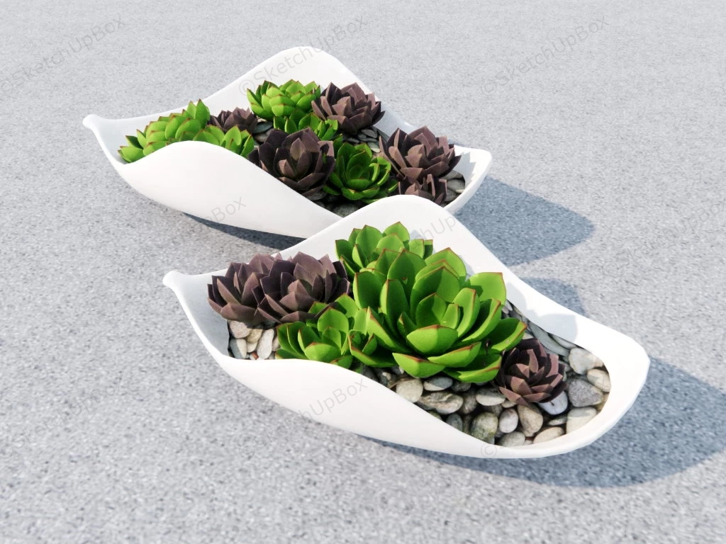 Succulent Dish Garden Idea sketchup model preview - SketchupBox