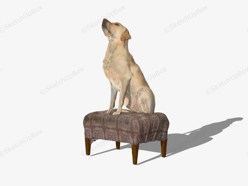Golden Retriever sketchup model preview - SketchupBox