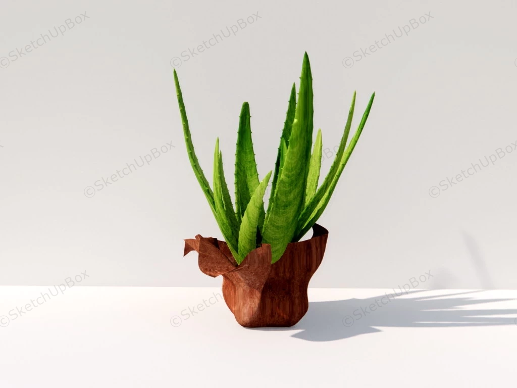 Aloe Vera Ornamental Plant sketchup model preview - SketchupBox