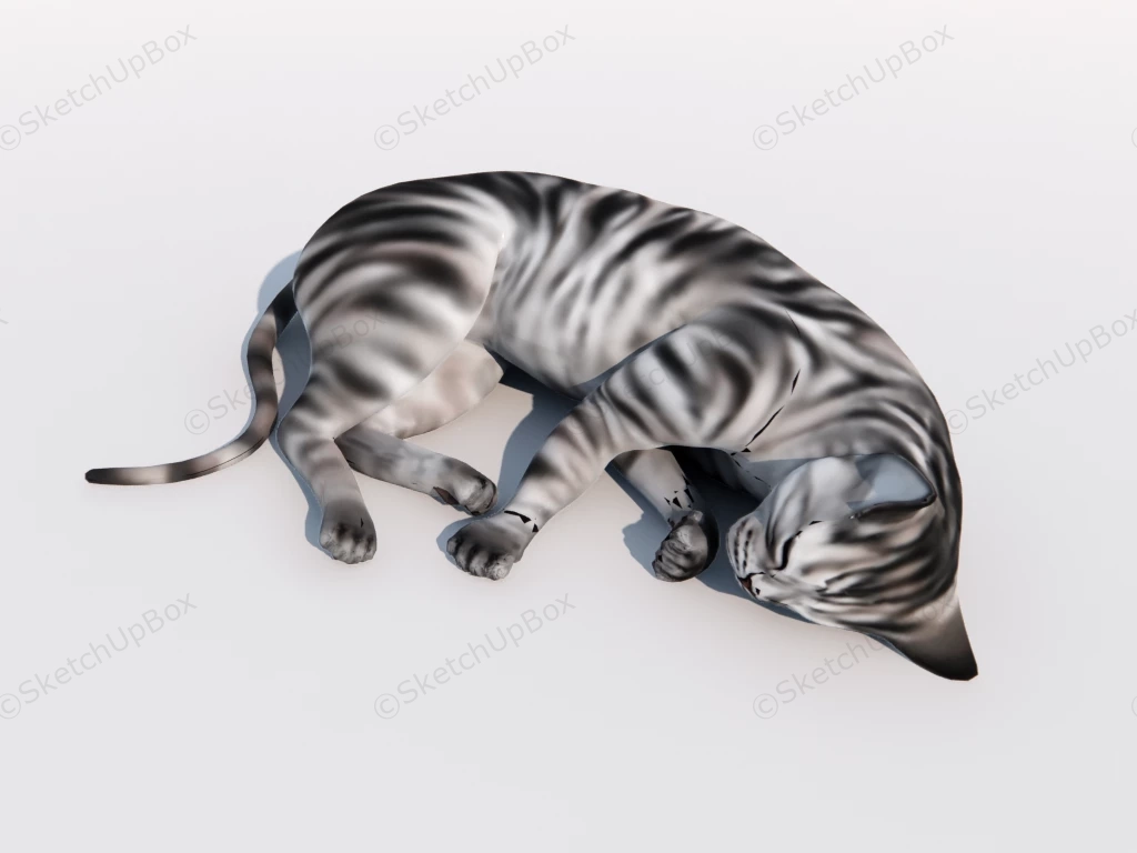 Sleeping Cat sketchup model preview - SketchupBox
