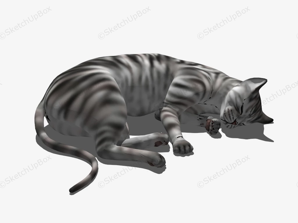 Sleeping Cat sketchup model preview - SketchupBox