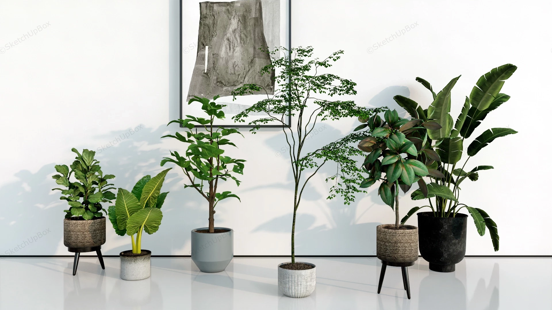 6 Indoor Plant Collection sketchup model preview - SketchupBox