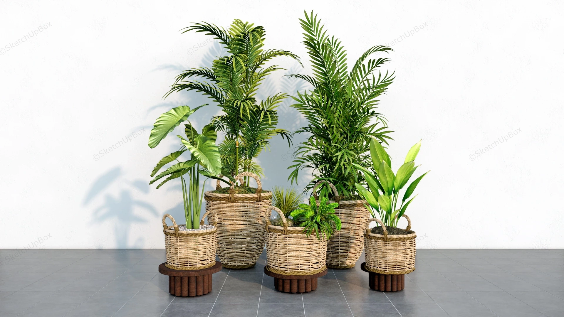 Rattan Planter Houseplants sketchup model preview - SketchupBox