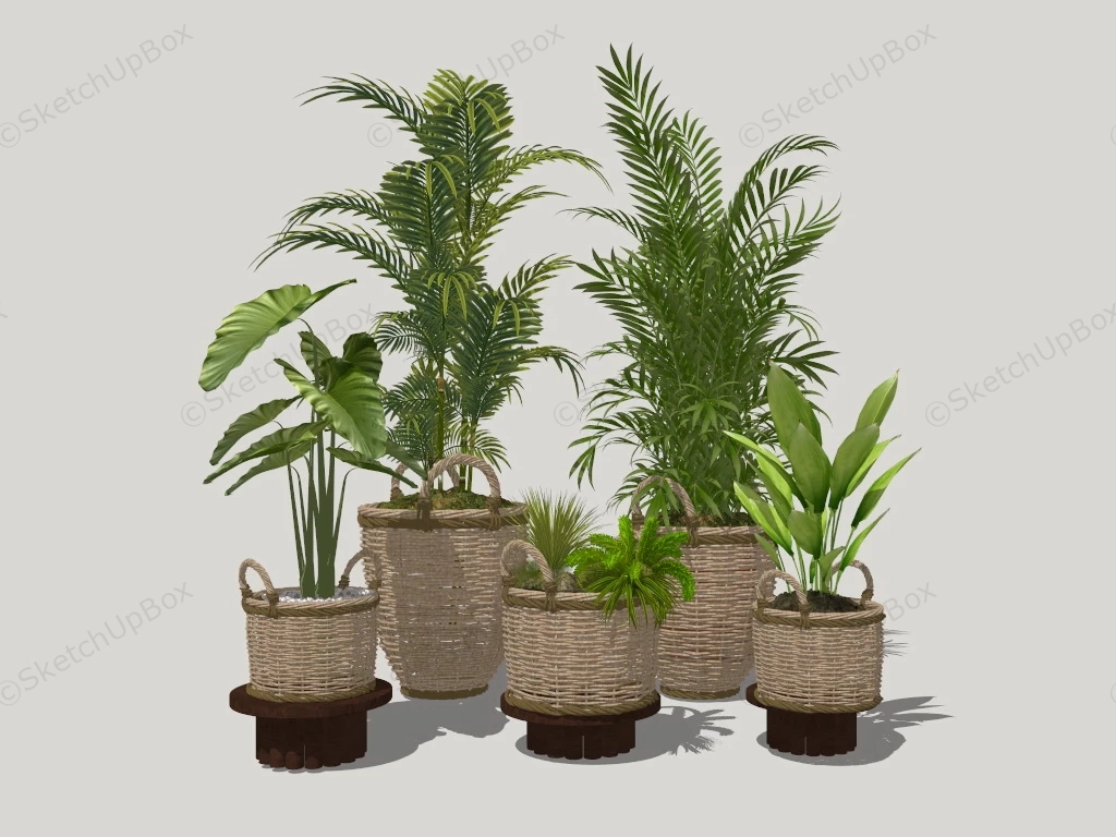 Rattan Planter Houseplants sketchup model preview - SketchupBox