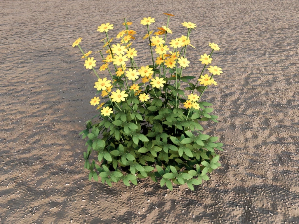 Coreopsis Pubescens sketchup model preview - SketchupBox