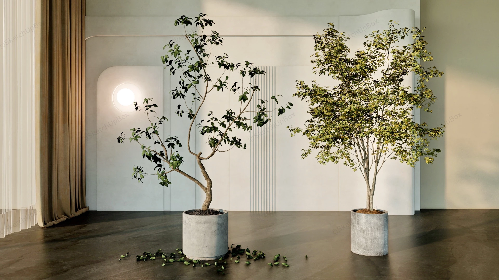 Tall Trees In Cement Planter sketchup model preview - SketchupBox
