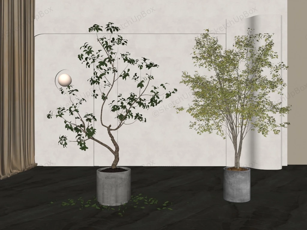 Tall Trees In Cement Planter sketchup model preview - SketchupBox