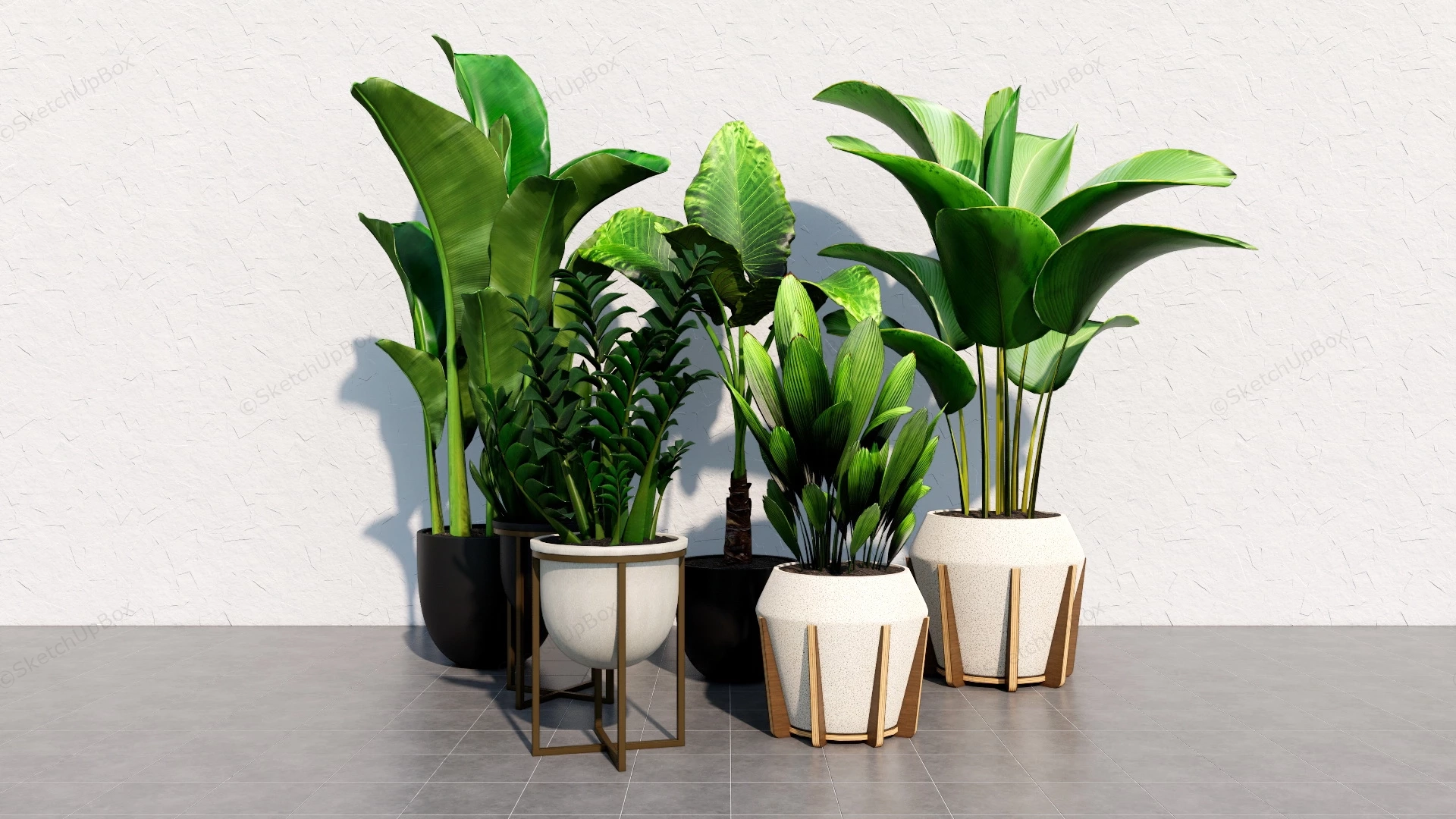Large House Plants sketchup model preview - SketchupBox