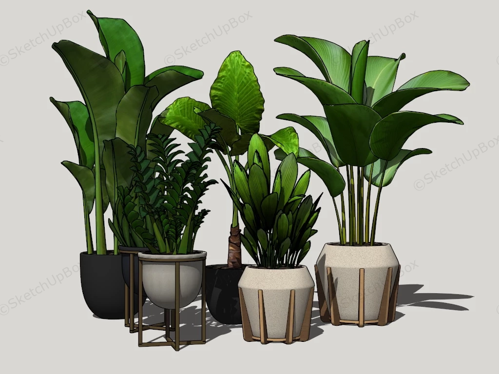 Large House Plants sketchup model preview - SketchupBox